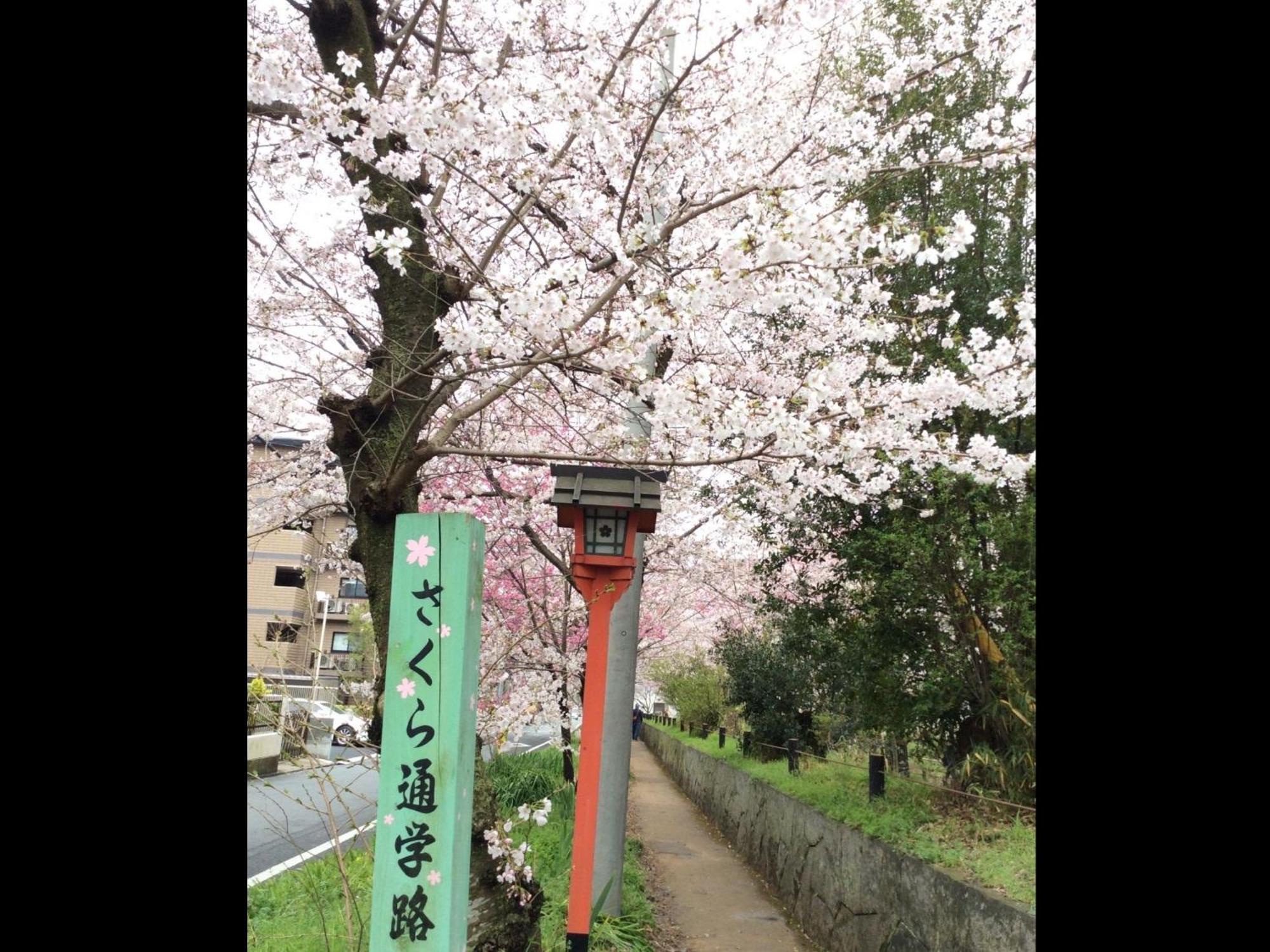 Kyounoyado Hana Nishijin - Kimono No Yado Kyoto Eksteriør bilde